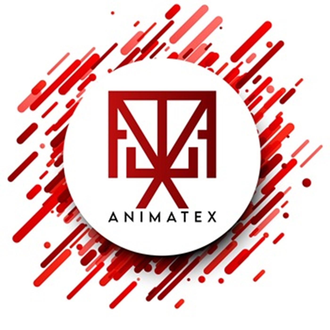 Animatex Animation