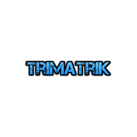 Trimatrik Multimedia